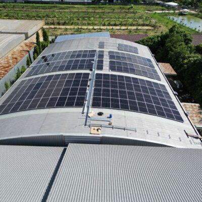 line album 2025.3.3 2 250303 1