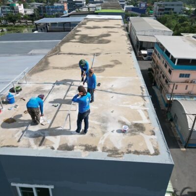 line album 2025.3.3 2 250303 36