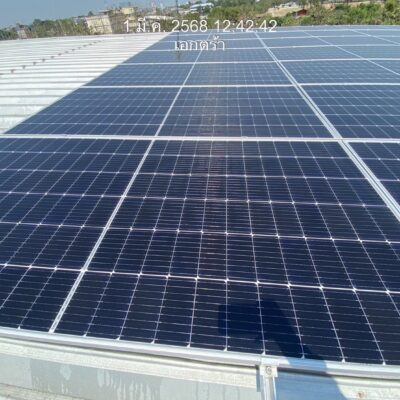 line album 2025.3.3 2 250303 41