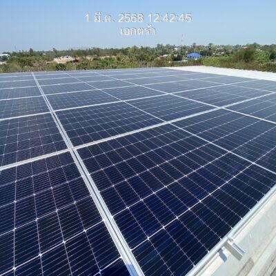 line album 2025.3.3 2 250303 42